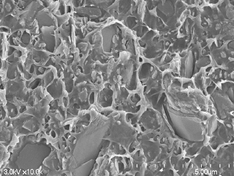 Resin fracture surface after Junmag kneading