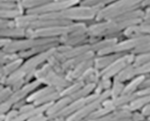 Heavy & precipitated calcium carbonate